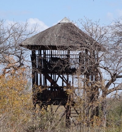 Boomhut Boomhut