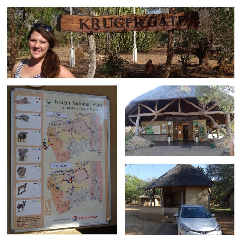 Kruger Park