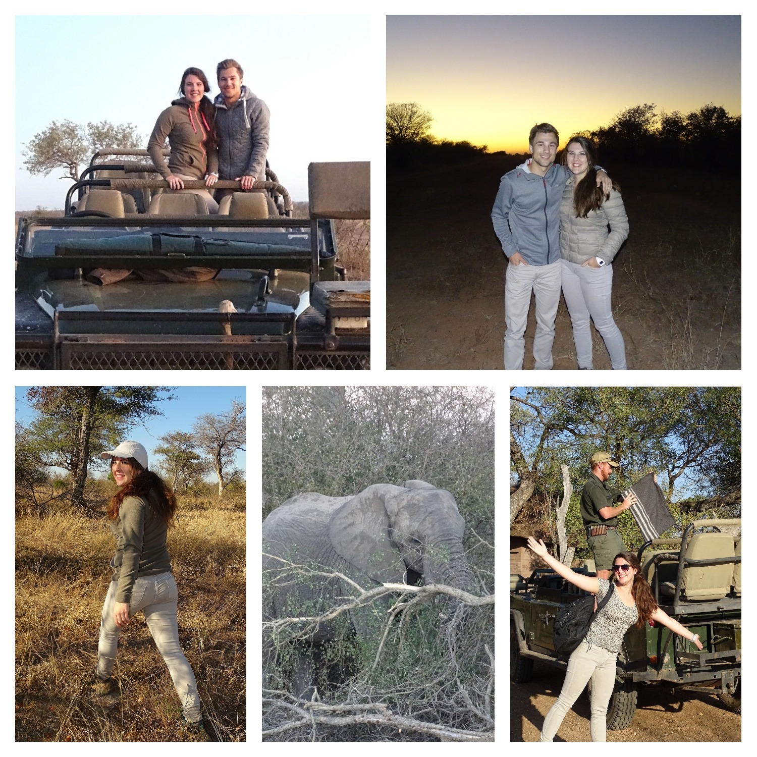 Safari