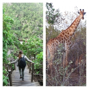 Rondreis Zuid-Afrika