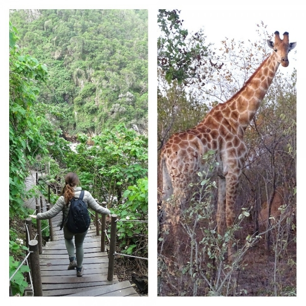 Rondreis Zuid-Afrika