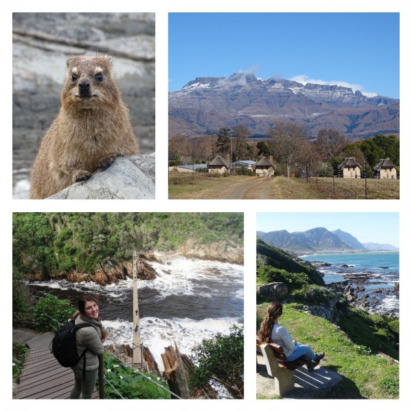 Collage Rondreis Zuid-Afrika