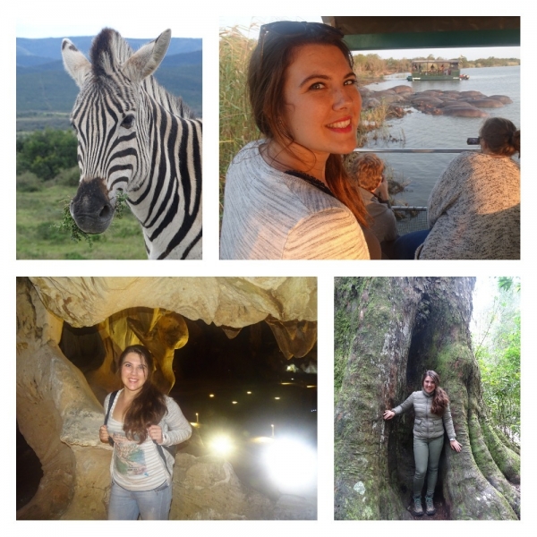 Rondreis Zuid-Afrika