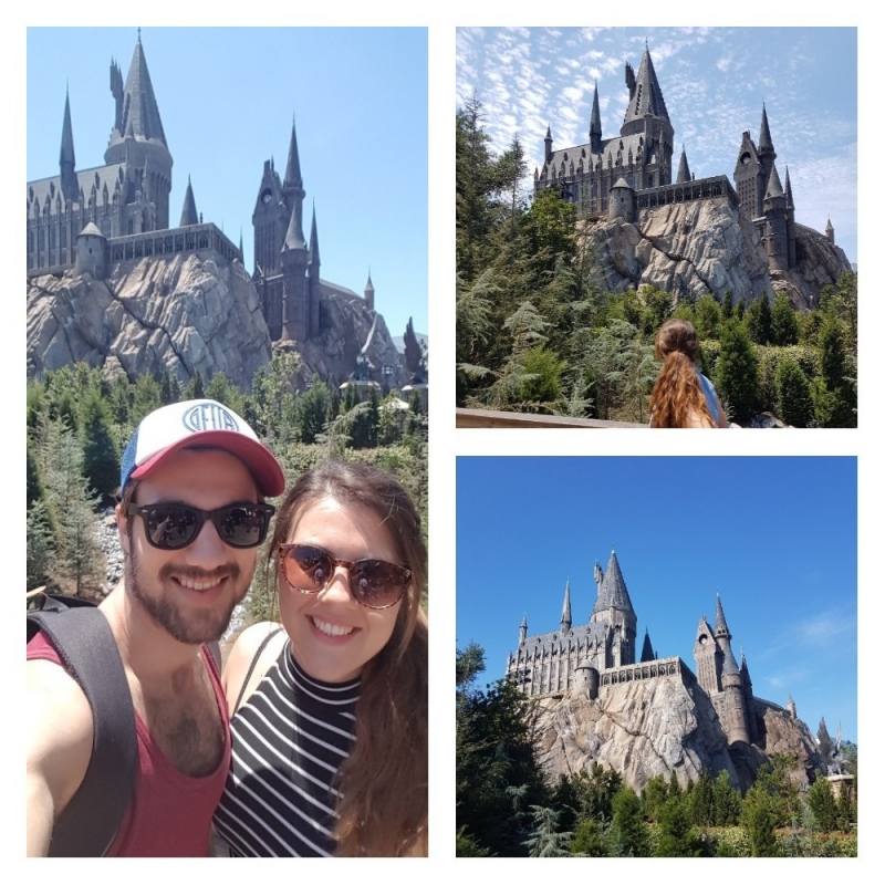 The Wizarding World of Harry Potter