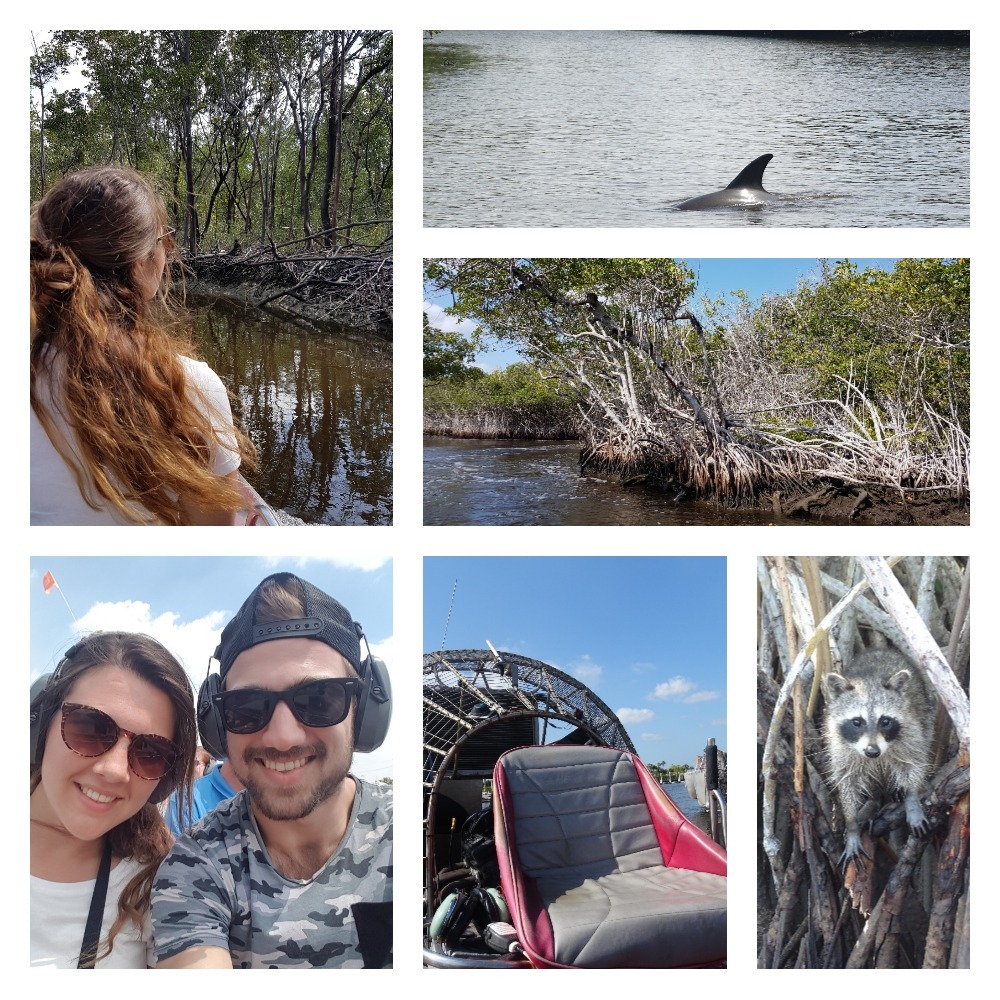 The Everglades