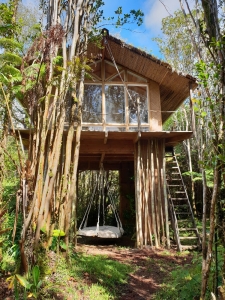 Boomhut Big Island