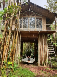 Boomhut Big Island