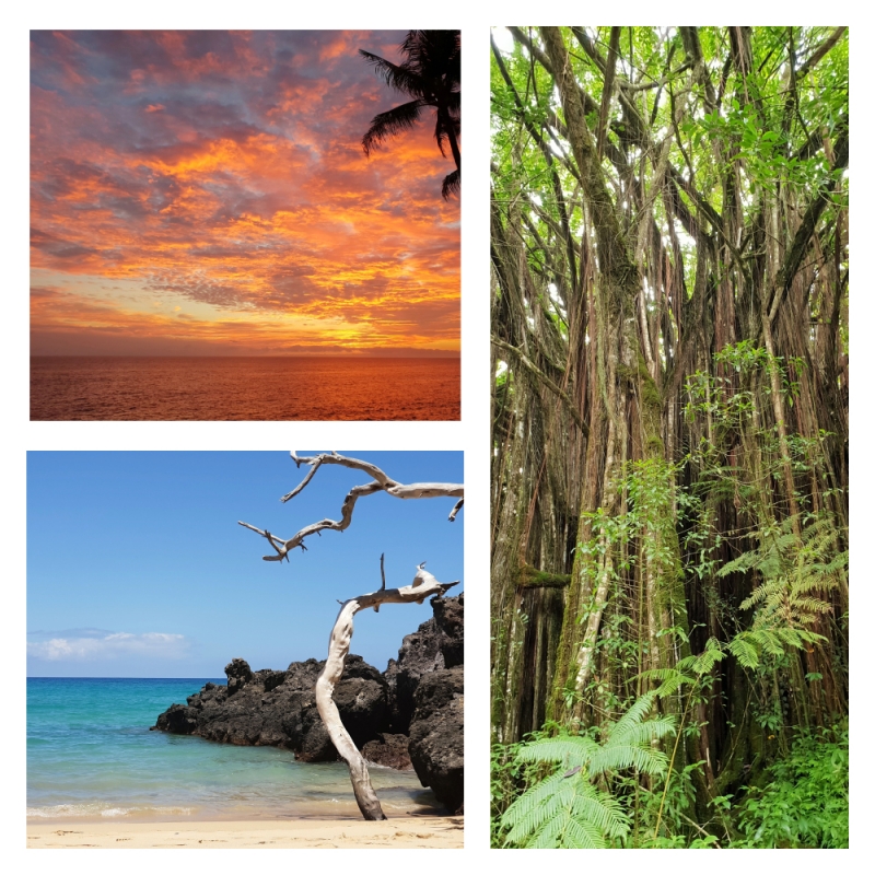 Big Island Big Island