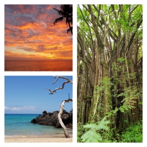 Big Island