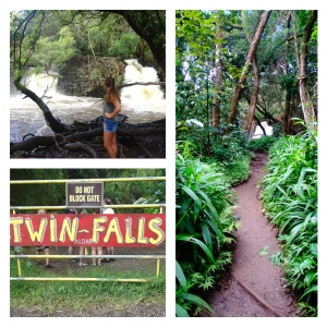 Twin Falls