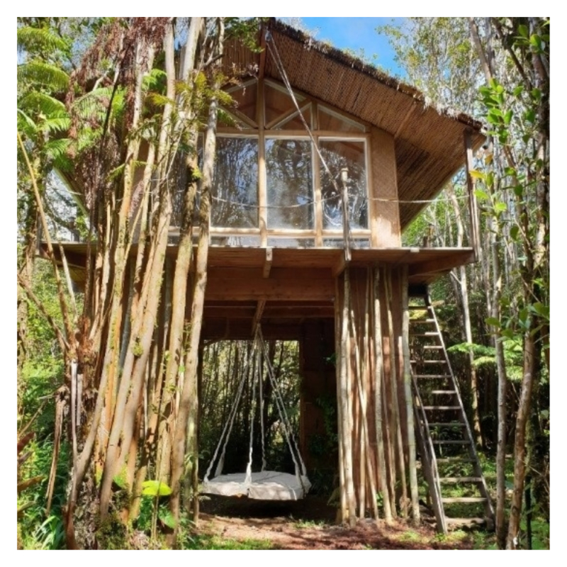 Boomhut Big Island Boomhut op Big Island