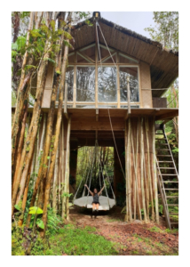 Boomhut Big Island