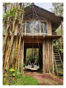 Boomhut Big Island