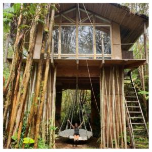 Boomhut Big Island