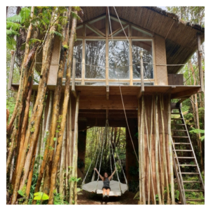 Boomhut Big Island