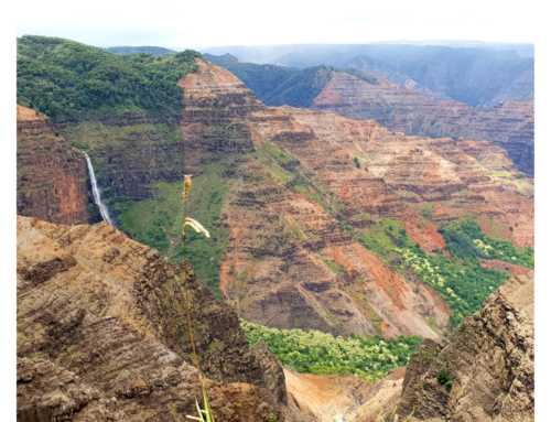 De mooiste en meest bijzondere foto’s van Hawaii