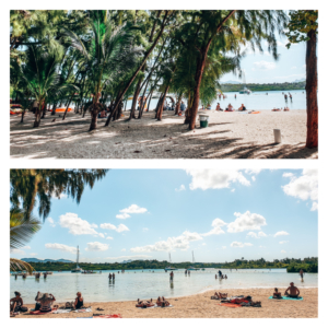 Ile aux Cerfs