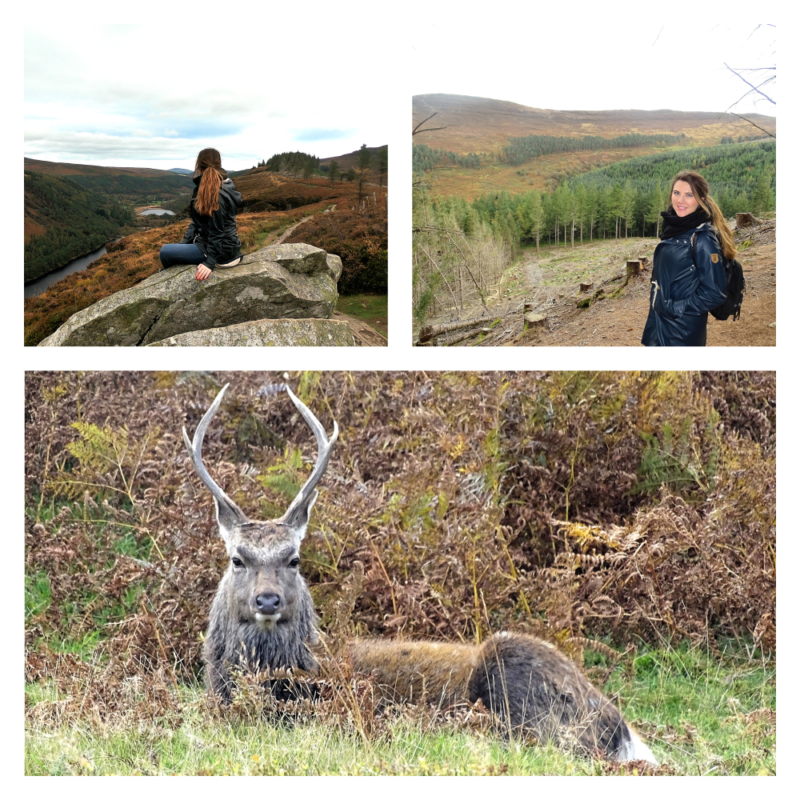 Wicklow Mountains Wicklow Mountains